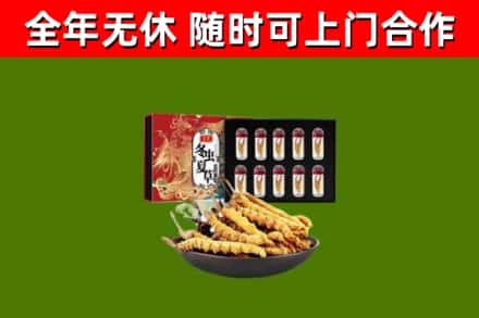 鹰潭市回收冬虫夏草价格